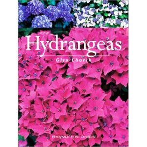 Hydrangeas